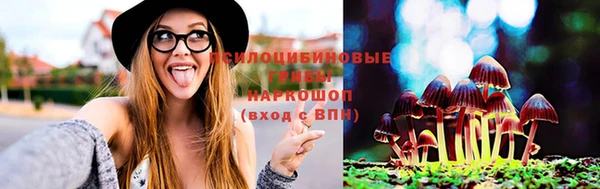 стафф Алексин