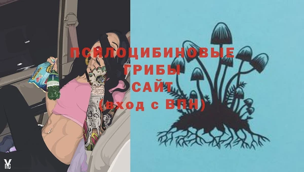 стафф Алексин