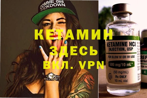 стафф Алексин