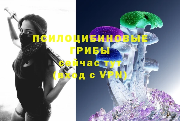 эйфоретик Алексеевка