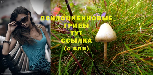 эйфоретик Алексеевка